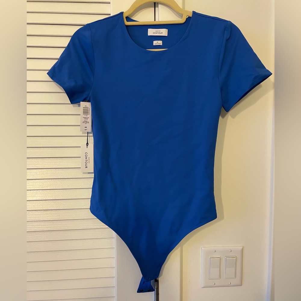 Babaton (Aritzia) Contour Crew Bodysuit